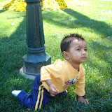Anaheim 062.jpg