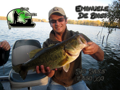 Big bass 2,450Kg