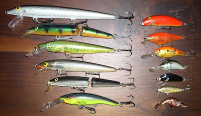 Alcuni tipi di minnow
