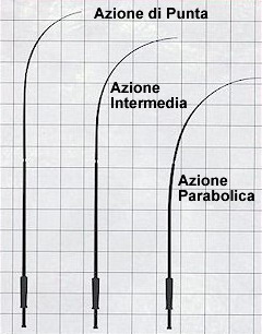 Le azioni delle canne da pesca Le azioni delle canne da pesca