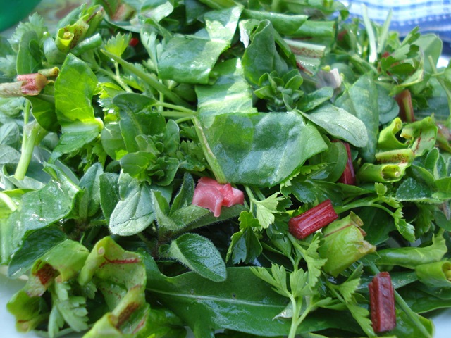 [another spring salad_1_1[2].jpg]