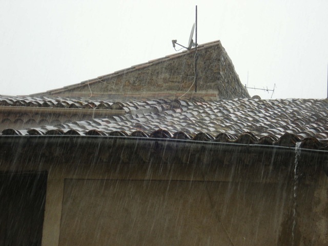 [rain_1_1[3].jpg]
