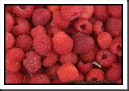 framboises framboises
