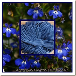 lobelia - blue medium lobelia - blue medium