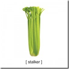 60c9iwell_tshirts_stalker
