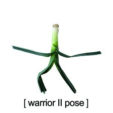 [warrior_ii_pose[2].jpg]