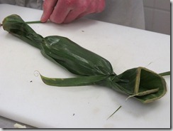 2010-03-17 026 (800x600)