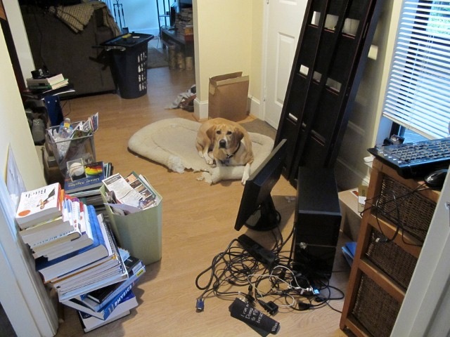 [IMG_6440 (640x480)[3].jpg]