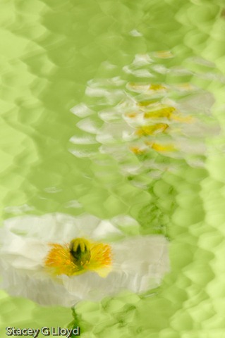[Blog_20100322_1[4].jpg]
