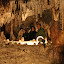 The Demanovska Jaskyna Slobody Cave (Demanova, Slovakia)