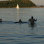 [EN] Prien am Chiemsee, Germany. Swimming in the Chiemsee lake. [SK] Prien am Chiemsee, Nemecko. Kupanie v jazere Chiemsee.