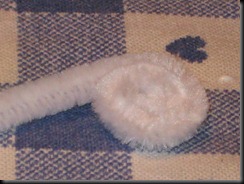 IMG_0494 IMG_0494