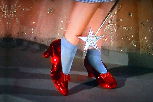 [ruby-slippers-wizard-of-oz[4].jpg]