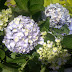 Image034.jpg