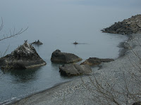Los cormoranes nidifican y disfrutan de los rinconcitos de la costa.