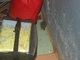 Esto es lo que pasa por coger habitaciones baratas... No el que haya ratas, que las hay en las caras tambien, sino que la muy petarda estaba compartiendo la almoada conmigo. No se quien se asusto mas, si ella o yo. Estaba tumbado en el catre, giro la cara, y a menos de un palmo, sus ojillos mirandome. Ella grito como una rata, yo me incorpore mas discretamente. Lo primero que hice fue no dejarla huir, y acorralarla en un rincon mientras preparaba la camara. Despues de la foto, no muy buena, la acompanye hasta la puerta, que no hizo falta abrir, ella misma se colo por debajo. Es lo que tienen los tifones, todo el mundo busca resguardo. No hubo mas incidentes esa noche.