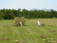 Otra pais con la estampa rural bucolica permanente.