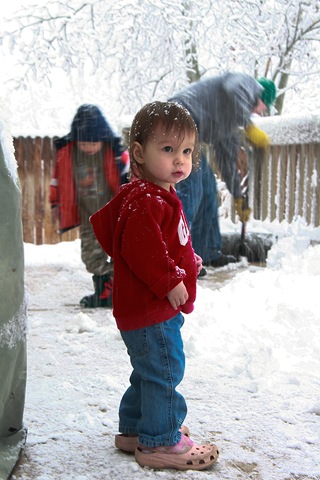 [Snow2[4].jpg]