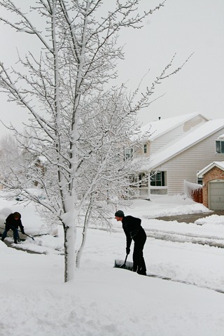 [Snow14[4].jpg]