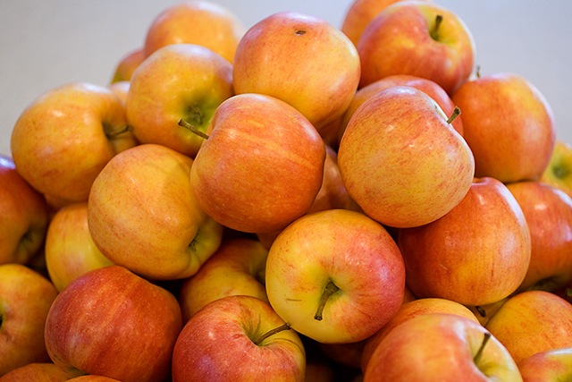 [Apples34.jpg]