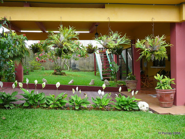 Costa Rica Real Estate