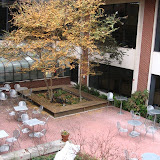 IMG_0477.JPG