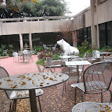 IMG_0478.JPG