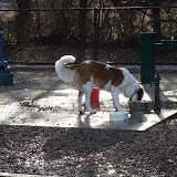 DSC01020.JPG