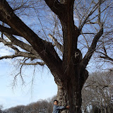 DSC00771.JPG