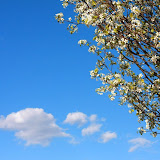 IMG_0192.JPG