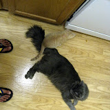IMG_4349.JPG