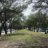 IMG_1785.JPG
