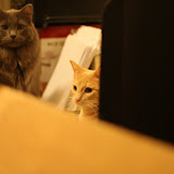 IMG_5687.JPG