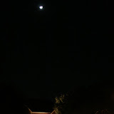IMG_6017.JPG