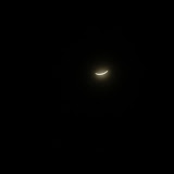 IMG_5626.JPG