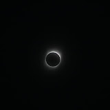 IMG_5711.JPG