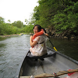 IMG_8885.JPG