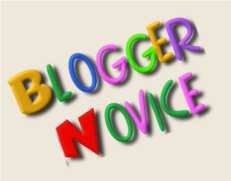 Blogger Novice