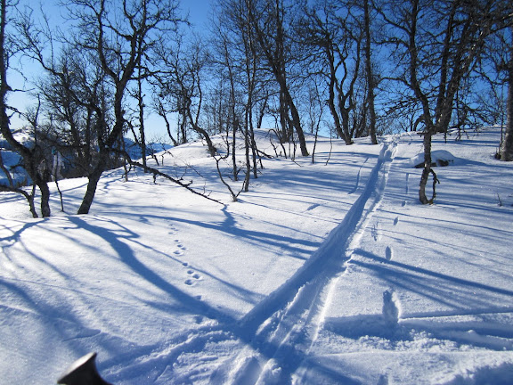 IMG_0050.JPG