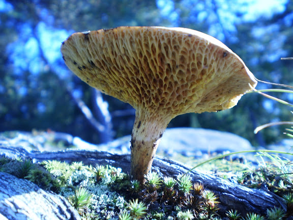 P9190111.JPG