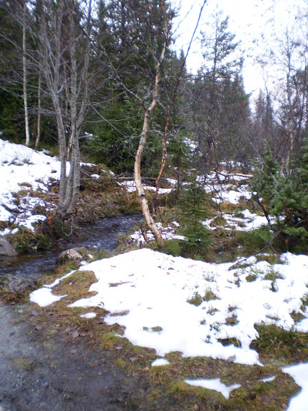 PA170124.JPG