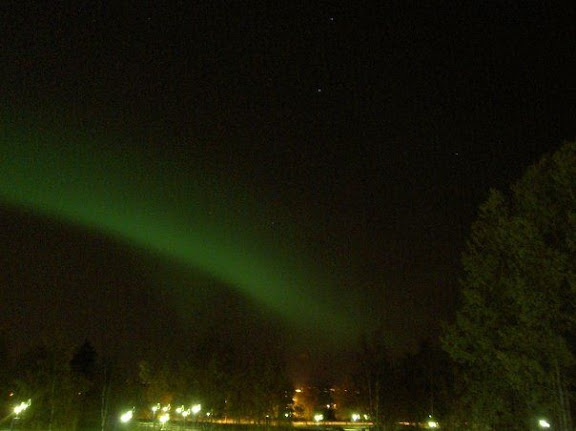 polar2.jpg