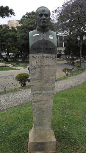 Busto Do Padre Ildefonso Ferreira  