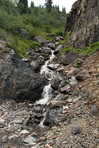 [IMG_81233.jpg]