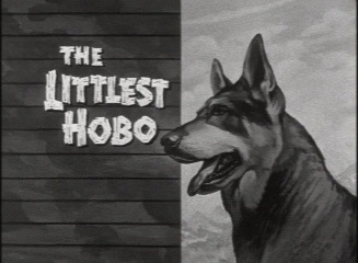 [the_littlest_hobo[3].jpg]