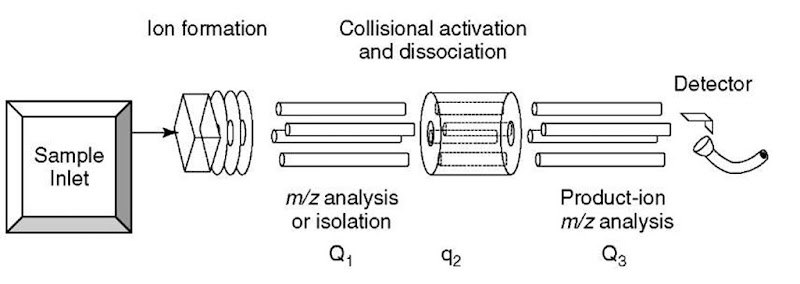 Schematic diagram of a triple-quadrupole mass spectrometer 