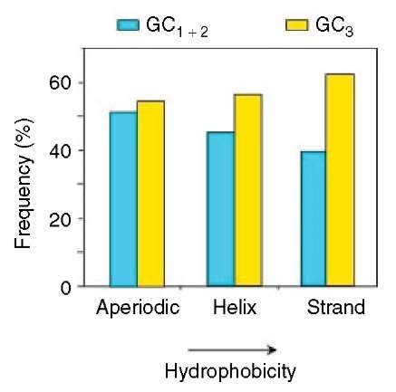 Histogram of the frequencies of GC3 and GC1+2 in the three secondary structures of the proteins, which were ordered according to increasing hydrophobicity