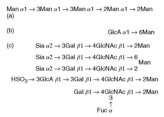 O-Mannosyl glycans found in (a) yeast, (b) clam worm, and (c) mammals. Man: mannose; GlcA: glucuronic acid; Sia: sialic acid; Gal: galactose; GlcNAc: N -acetylglucosamine; Fuc: fucose 