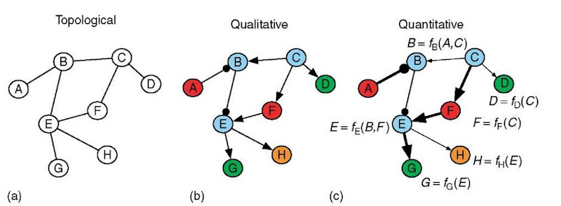 Molecular interaction network models can be described at different levels of detail. (a) Topological models describe graphs with homogenous molecular components and topological connections, indicating only which components interact. (b) Qualitative models include details of the functional heterogeneity of the molecular components (indicated by component color) and contain information on the direction (causality) and sign (activating or inhibiting) of interactions. Arrows begin at the causal factor and end at the component regulated by that factor. Arrow-tip terminated connections are activating; circle-tip connections are inhibiting. Component colors indicate different molecule functions; for instance, red components might be transcription factor proteins and blue components might be kinase proteins. (c) Quantitative models indicate how each component behaves as a function of the state of its inputs. For instance, component B will respond as a function of its inputs from components A and C. The strengths (indicated by line width of the arrow) of the interactions are captured in such a model 