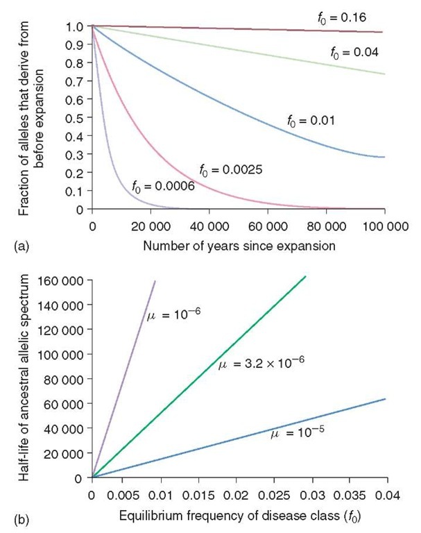 This Figure is taken from the paper by Riech and Lander. It illustrates the change over time accompanying the human population expansion of the frequency of the disease-susceptibility alleles, f 0. How the fraction of the total proportion of disease-susceptibility alleles changes with time is shown in (a). The curves are calculated assuming a population increase from 105 to 6 x 109 and a fixed mutation rate (p) of 3.2 x 10-6 per generation. As is shown, more frequent classes of disease alleles will have persisted over the preceding 100 000 years and shown only a slight reduction in frequency. The same point is illustrated in (b). In this graph, the time taken for the original disease allele class frequency to fall by half is shown. Thus, for a disease allele frequency of 0.005, the frequency will have fallen to 0.0025 after approximately 20 000 years. It can also be seen that at higher-mutation rates the half-life is substantially shorter. The probability that the two alleles randomly picked both belong to the disease-susceptibility class is denoted by ^disease. Hence, the reciprocal of this term is an index of the allelic spectrum of any disease. In (c), an arbitrary threshold for simpler disease spectra is shown by a cutoff of 1/^disease = 10. The simpler disease spectra are maintained for at least 100 000 years with disease allele frequencies between 0.01 and 0.05